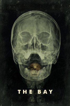 The Bay (2012) Streaming