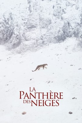 La pantera delle nevi (2022) Streaming