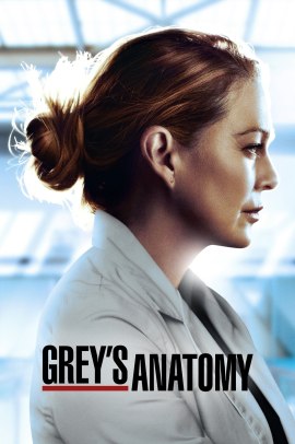 Grey's Anatomy 17 [17/17] ITA Streaming