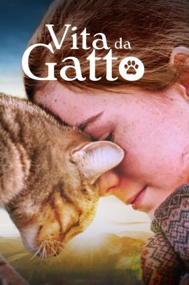 Vita da gatto (2023) Streaming