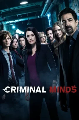 Criminal Minds 13 [22/22] ITA Streaming