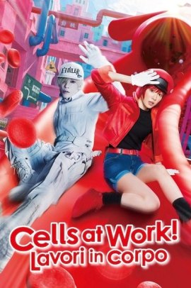 Cells at Work! – Lavori in corpo (2024) ITA Streaming