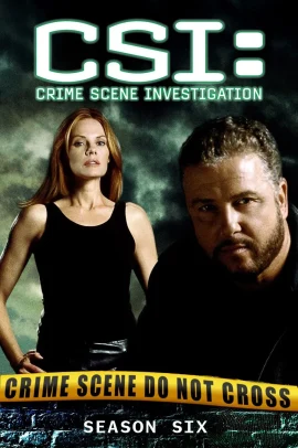 CSI: Scena del crimine 6 [24/24] ITA Streaming