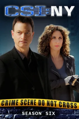 CSI: New York 6 [23/23] ITA Streaming