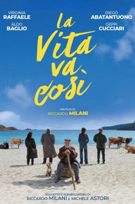 La vita va così (2025) Streaming