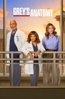 Grey's Anatomy 22 [8/10] ITA Streaming (In Corso)
