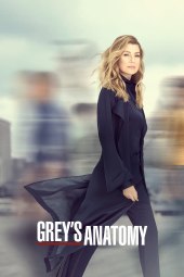 Grey's Anatomy 16 [21/21] ITA Streaming