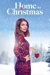 Natale con uno sconosciuto 2 [6/6] ITA Streaming